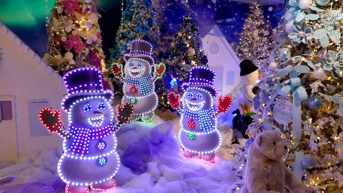 Indoor light display
